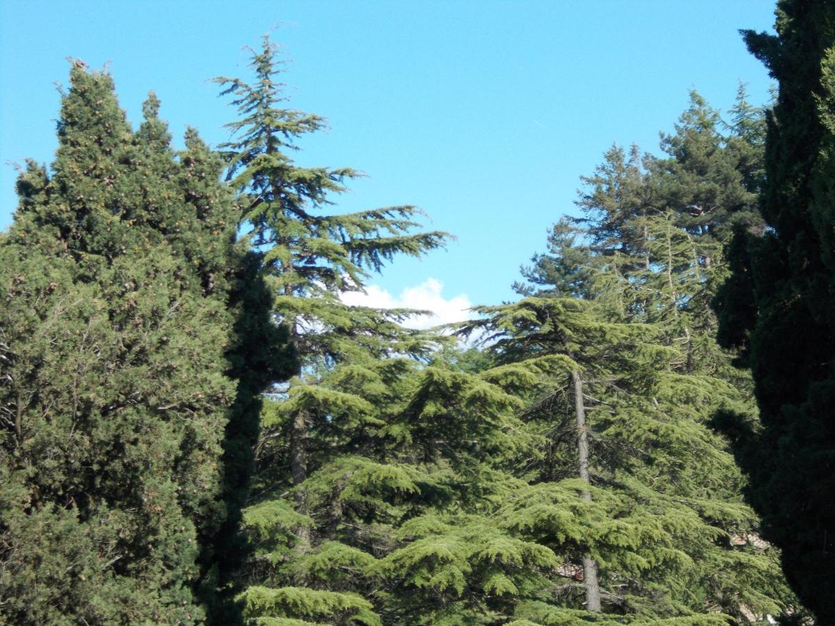 La Vecchia Locanda Castelnuovo di Val di Cecina Zewnętrze zdjęcie