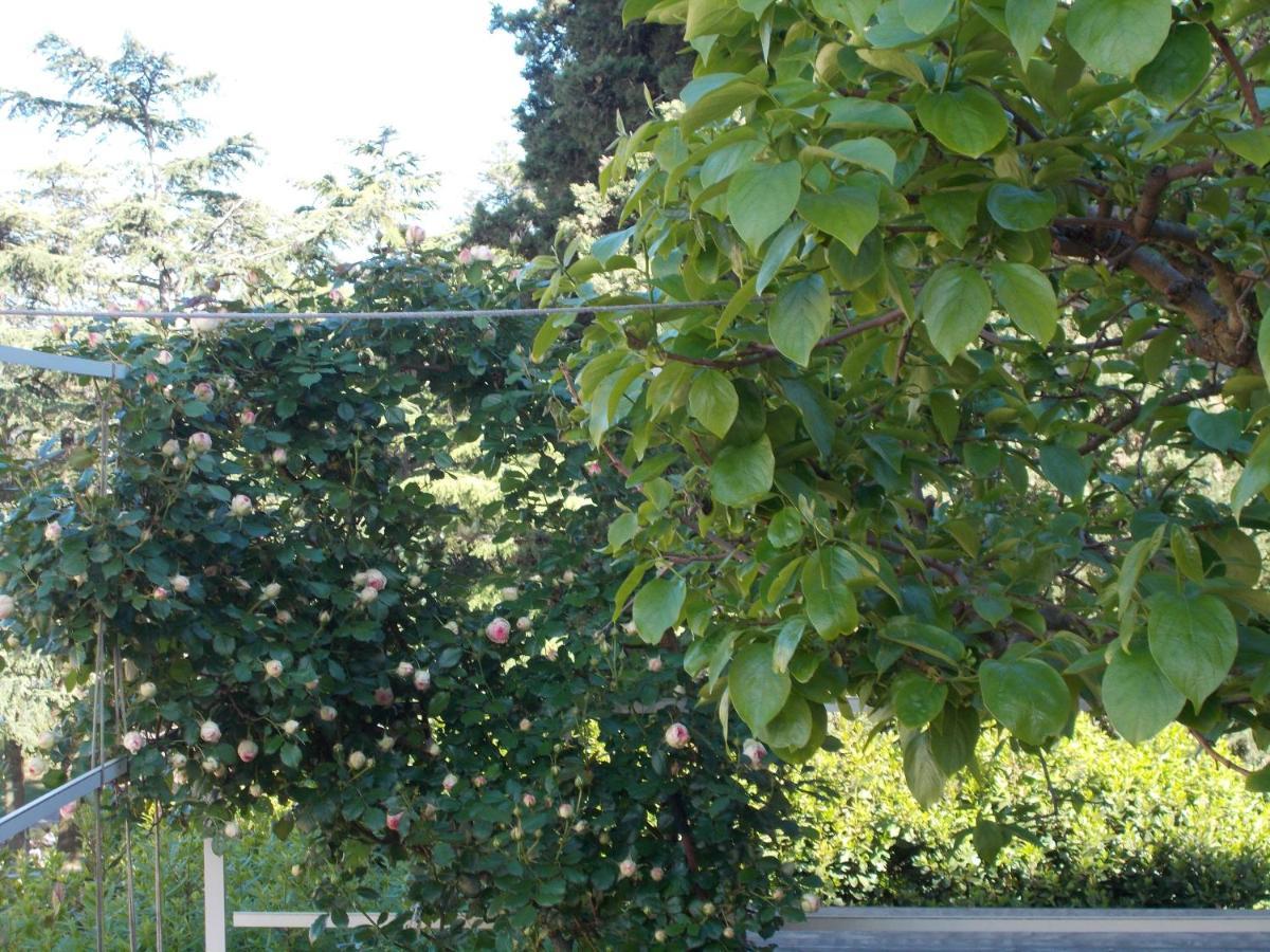 La Vecchia Locanda Castelnuovo di Val di Cecina Zewnętrze zdjęcie
