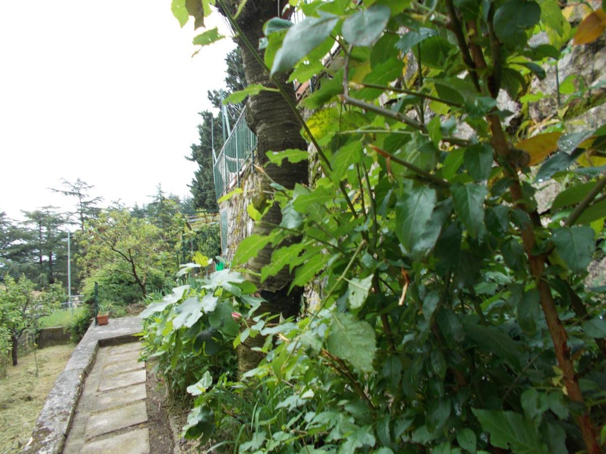 La Vecchia Locanda Castelnuovo di Val di Cecina Zewnętrze zdjęcie